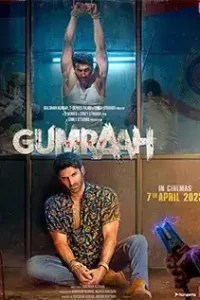 Gumraah (2023) Hindi NF WEB-DL Full Movie  480p 720p 1080p