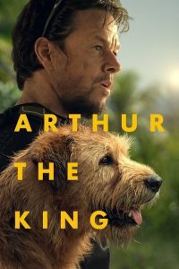 Download Arthur the King (2024) BluRay Dual Audio {Hindi-English} Full Movie 480p 720p 1080p