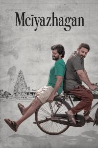 Download Meiyazhagan (2024) Dual Audio [Hindi-Tamil] Netflix WEB-DL Full Movie 480p 720p 1080p